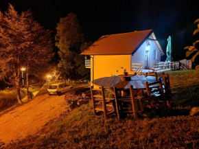 Vila Vlasina